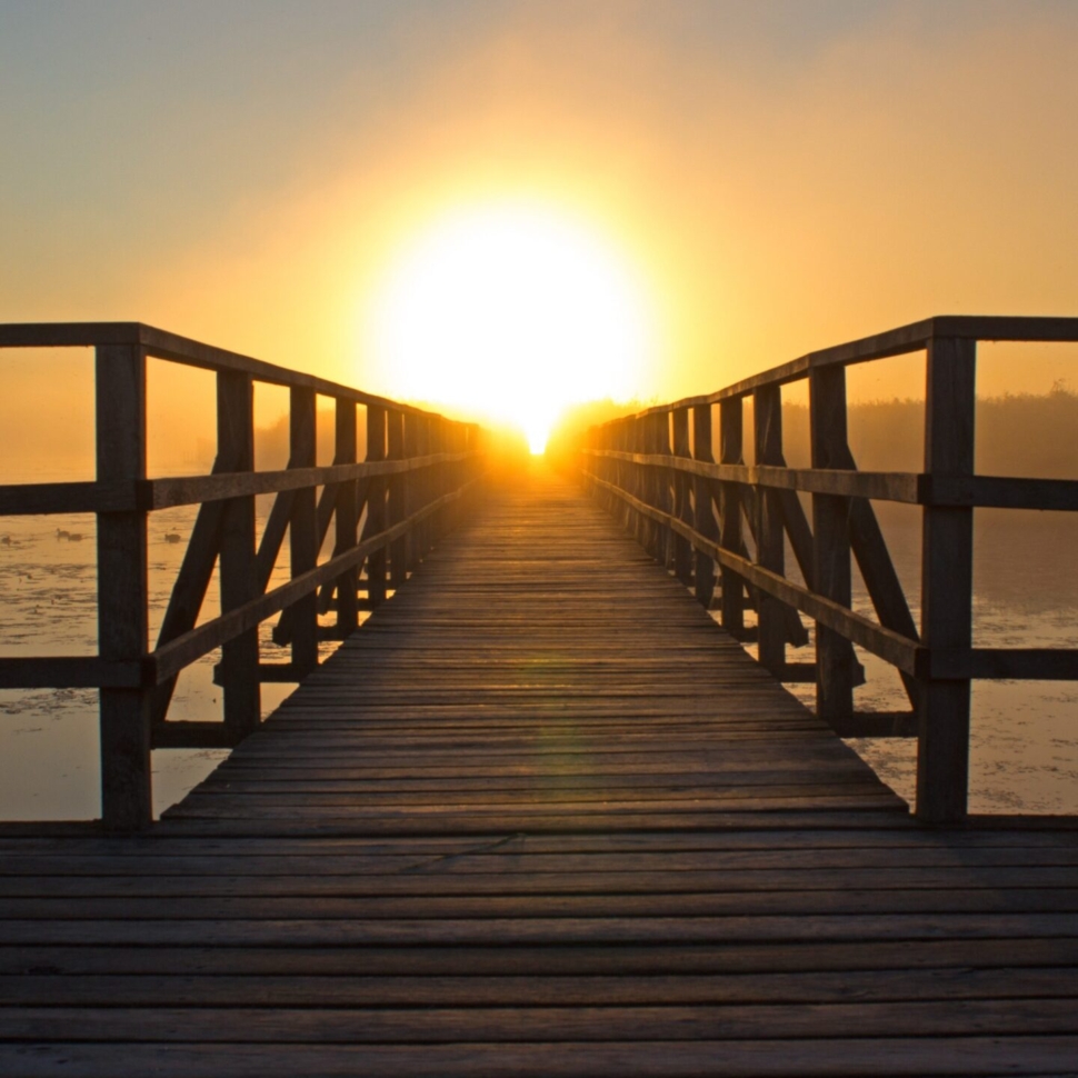 pexels-pixabay-276259-edited-scaled