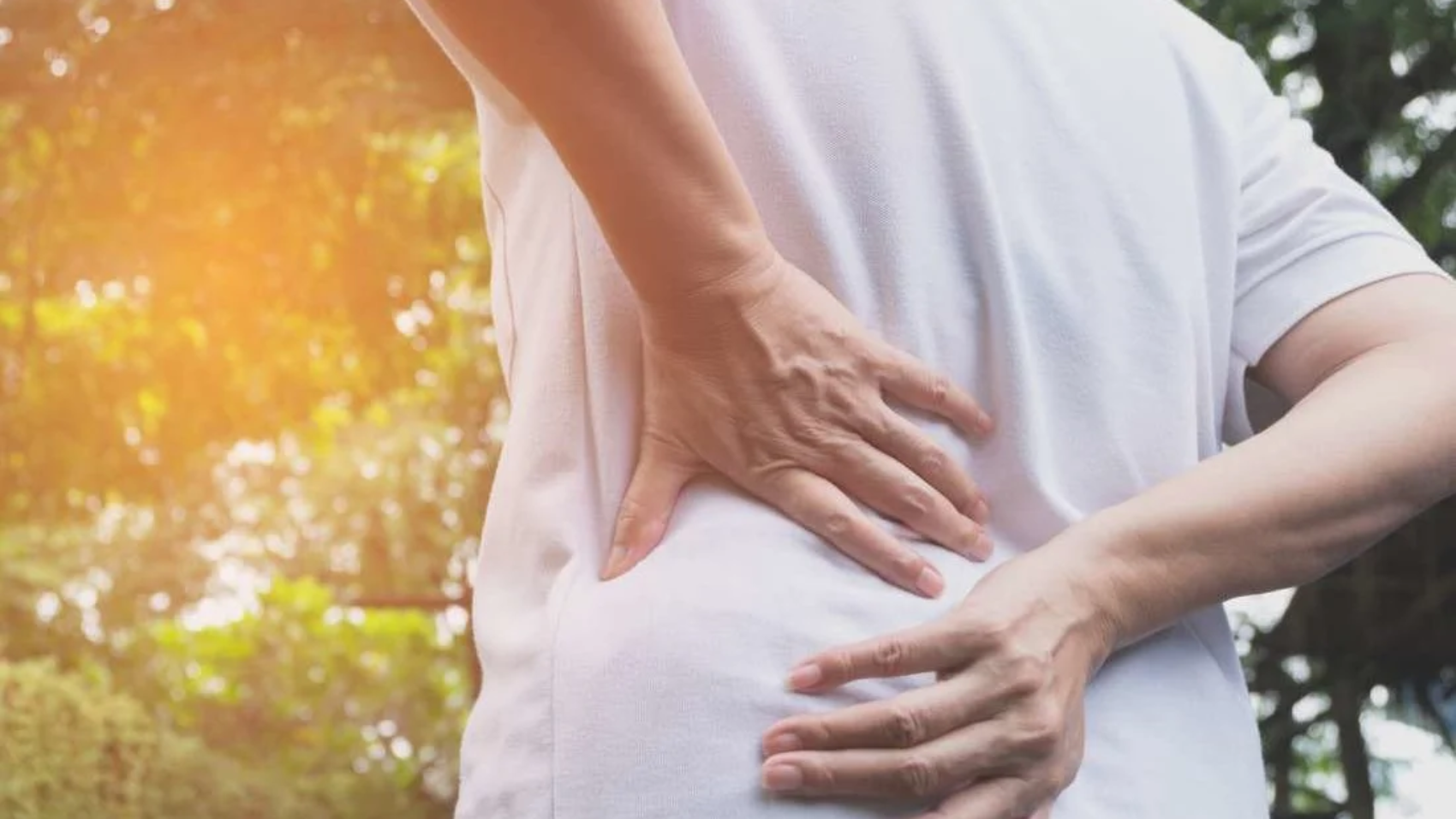 326203_1100-1100x628