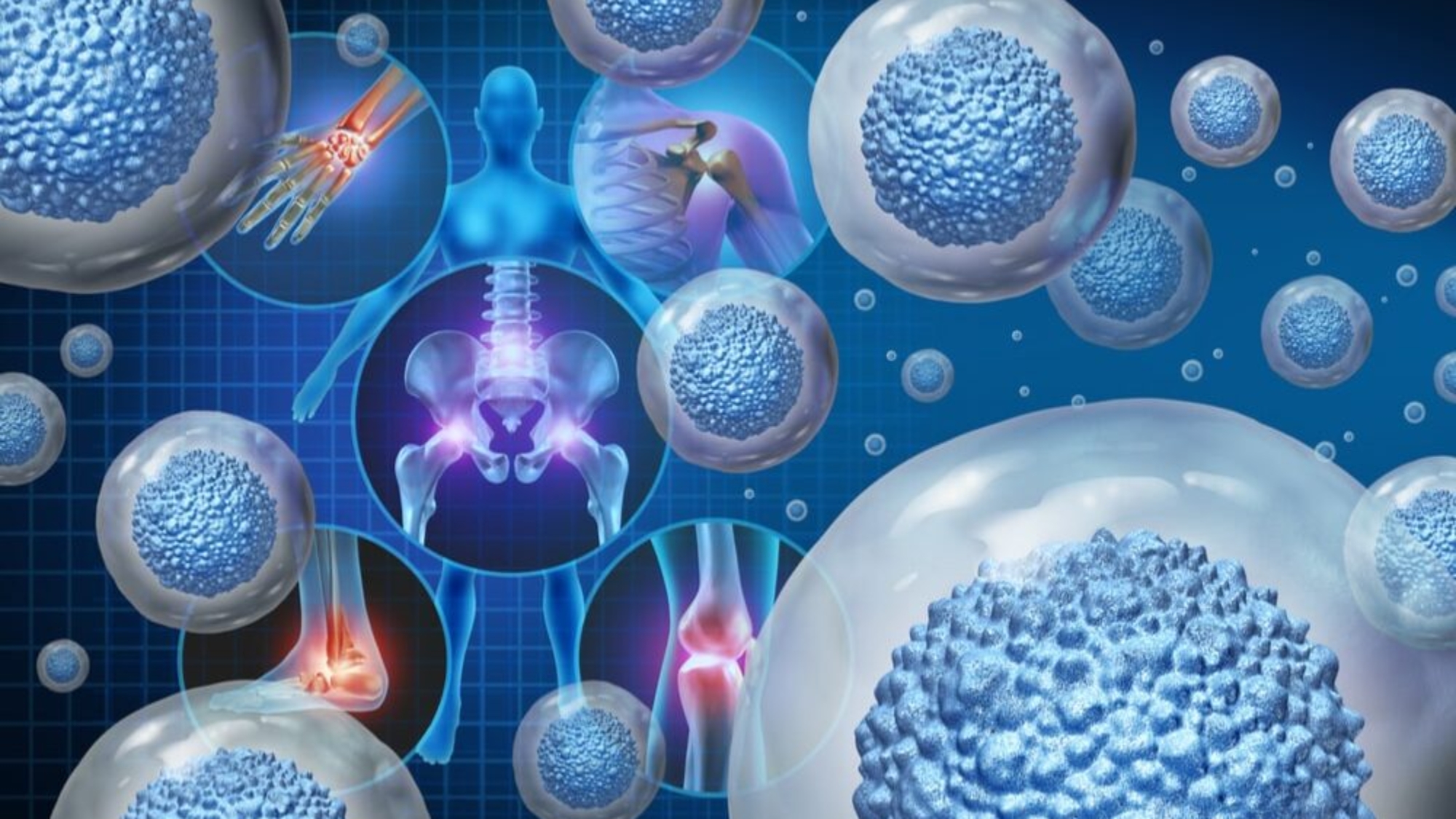 shutterstock_1966013524-min-e1684939474492